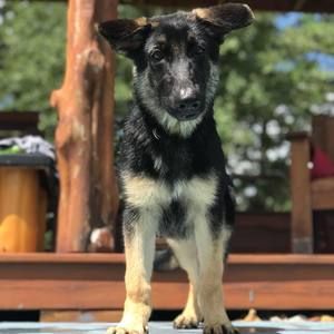 Meet your Posher, Aisha